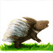 Zoom, Stachelschweinbaby im Flug,